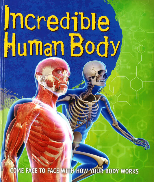 Fast Facts: Incredible Human Body