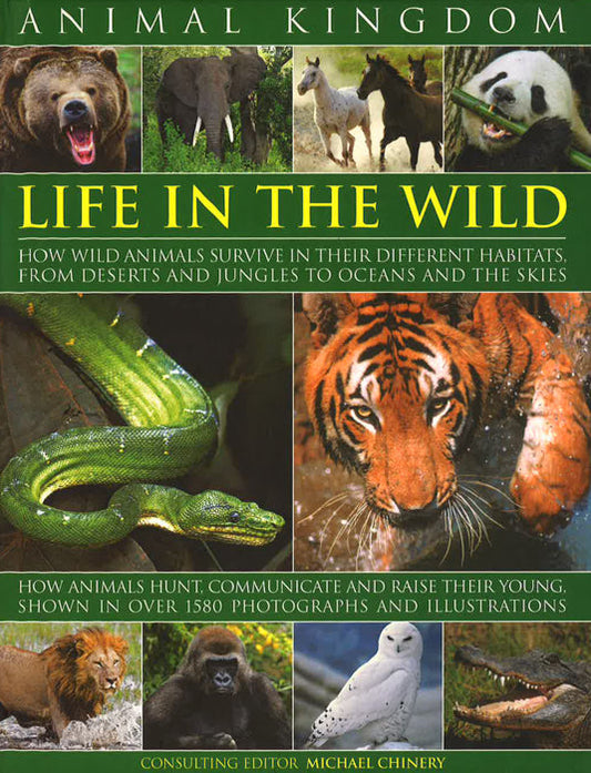 Animal Kingdom