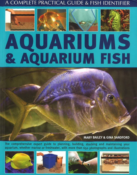 Aquariums And Aquarium Fish