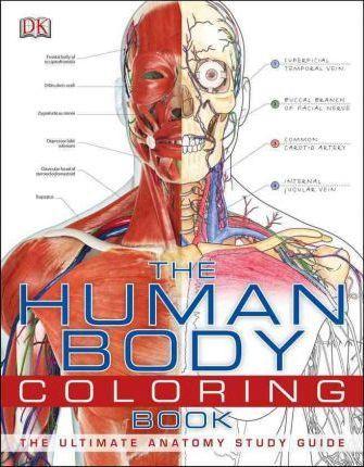 Human Body Coloring Book