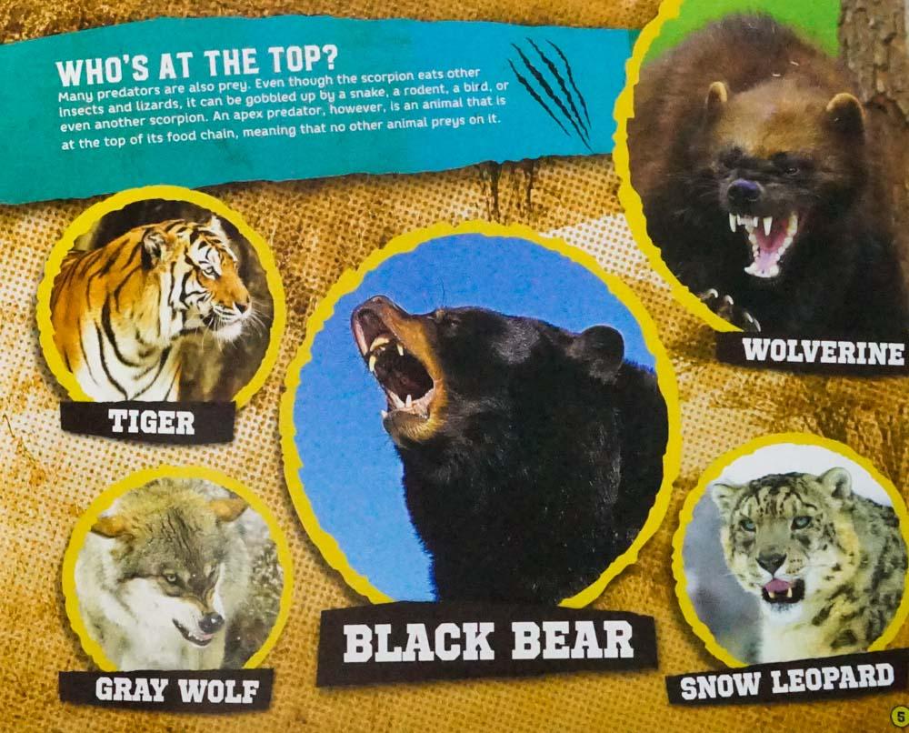 Predators Animals List.pdf Creature Files: Predators – BookXcess