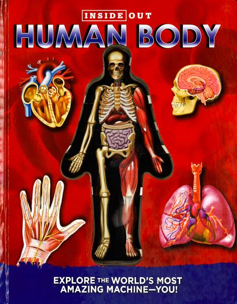 Inside Out Human Body
