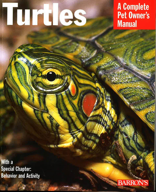 Turtles : Everything About Purchasecarenutrition