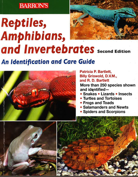 Reptiles Amphibians And Invertebrates