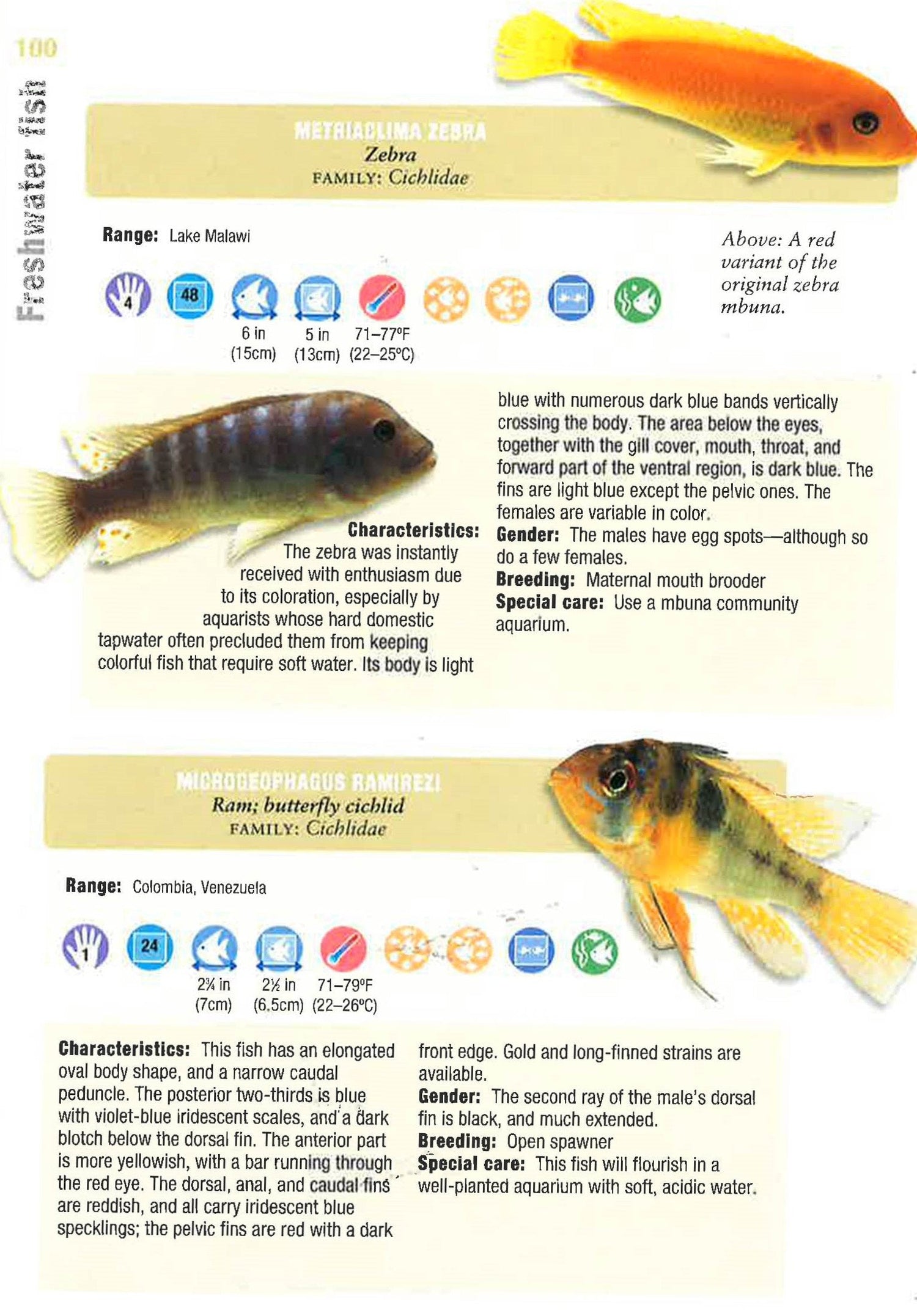 Aquarium Fish Handbook – BookXcess - Main Image