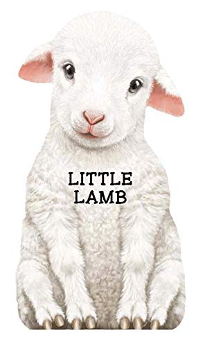 Little Lamb (Mini)
