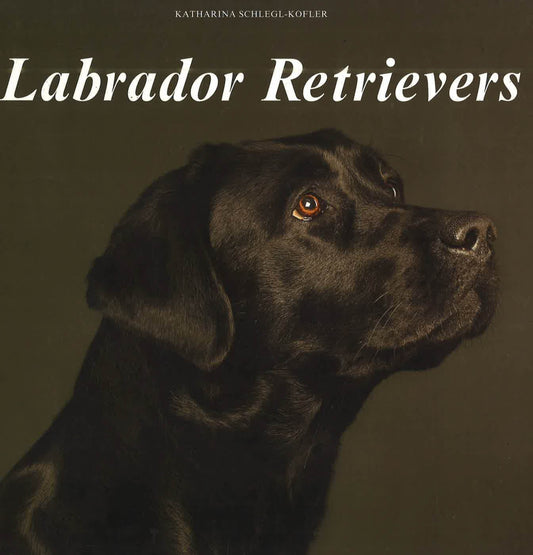 Labrador Retrievers