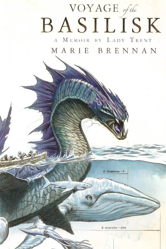 Voyage Of The Basilisk: A Memo