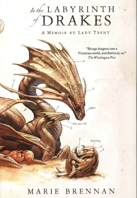 In The Labyrinth Of Drakes : A Memoir By Lady Trent
