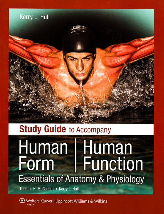 Study Guide To Accompany Human Form Human Function: Essentials Of Anatomy & Physiology