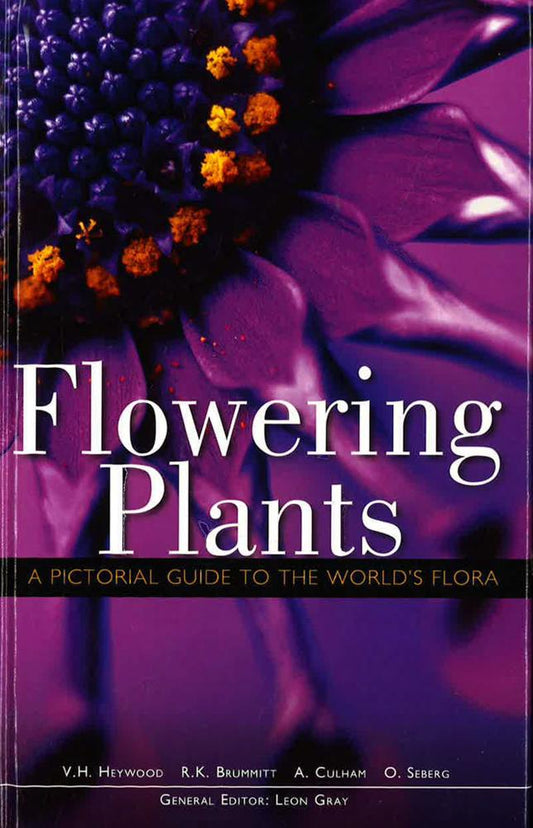 [Bargain Corner] Flowering Plants