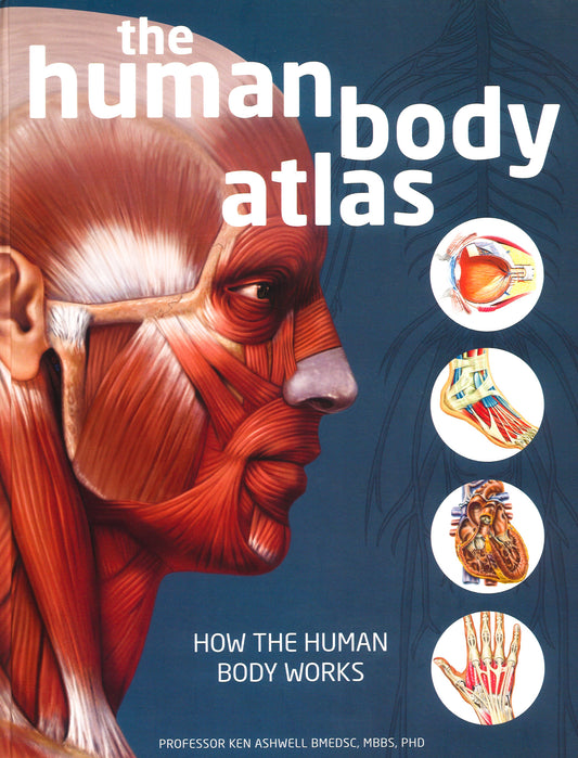 The Human Body Atlas : How the Human Body Works