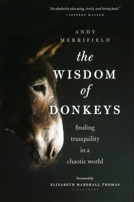The Wisdom Of Donkeys