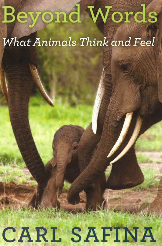 Beyond Words: What Animals Think And Feel
