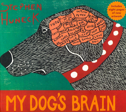 My Dog's Brain