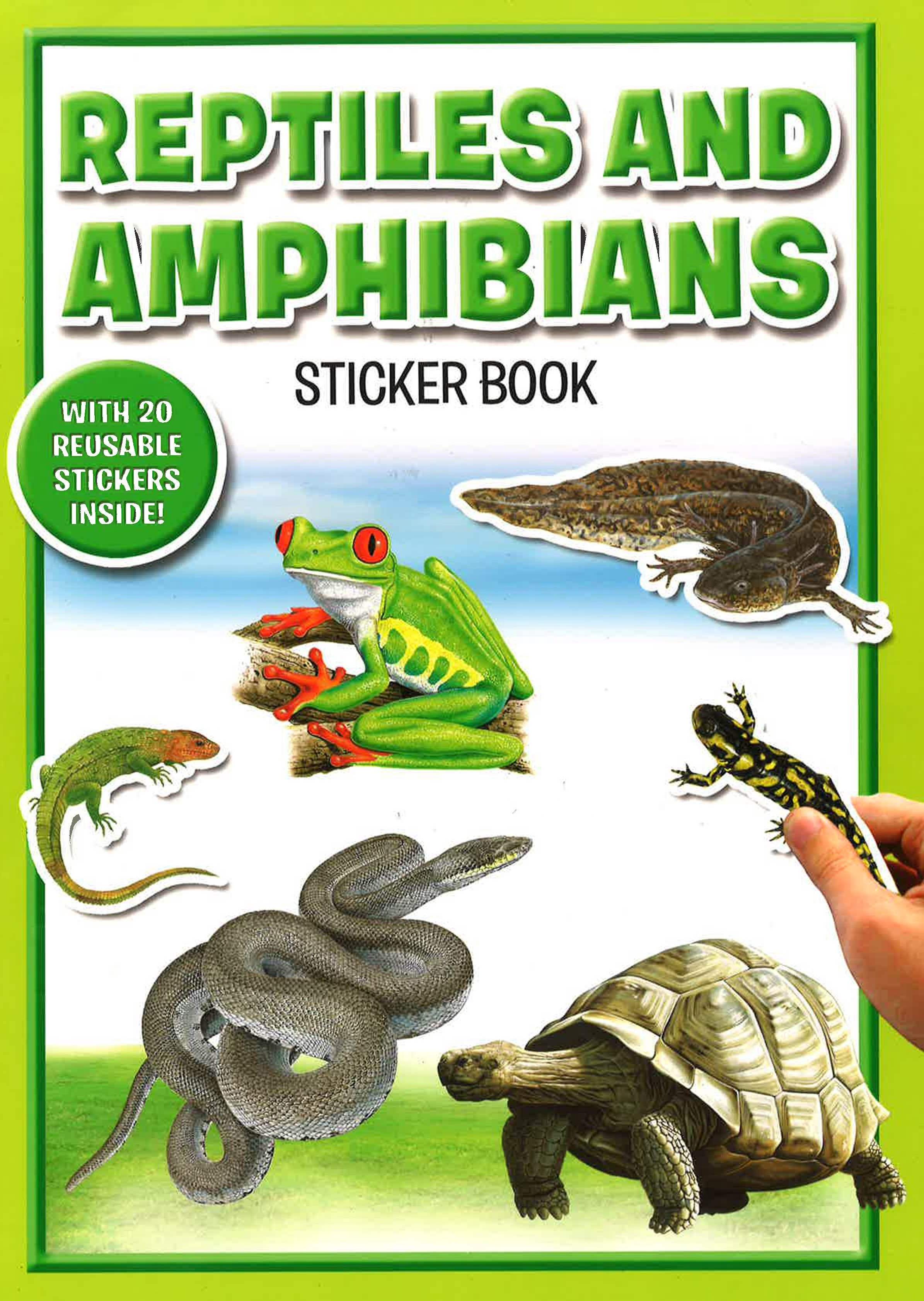 Reptiles & Amphibians Sticker Book – BookXcess