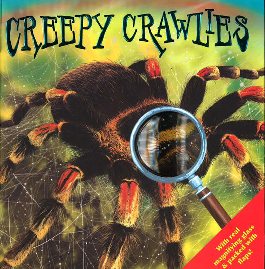 Look Closely 2: Creepy Crawlies