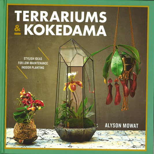 Terrariums & Kokedama