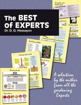 The Best Of Experts