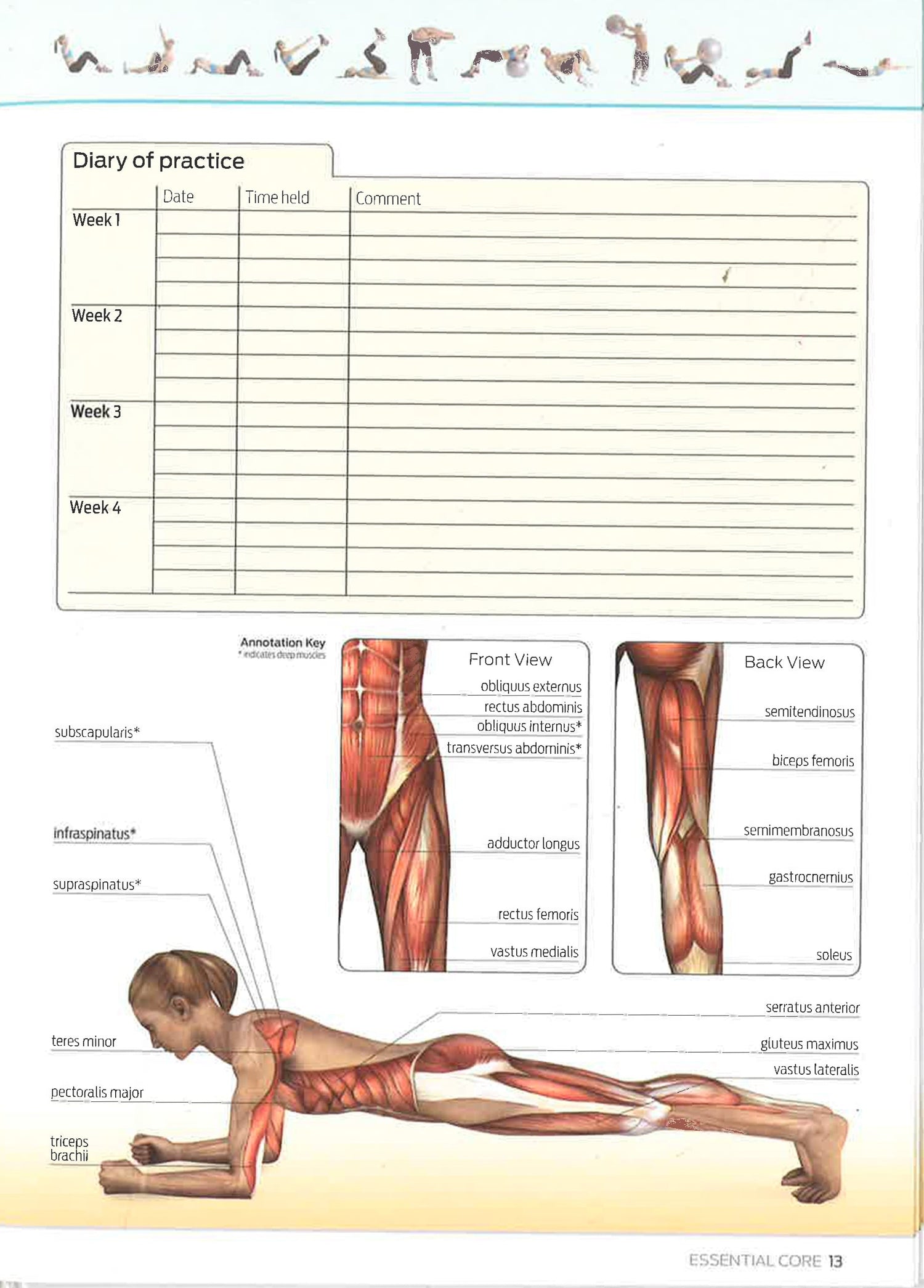 Essential Core Exercise Essential: Core – BookXcess