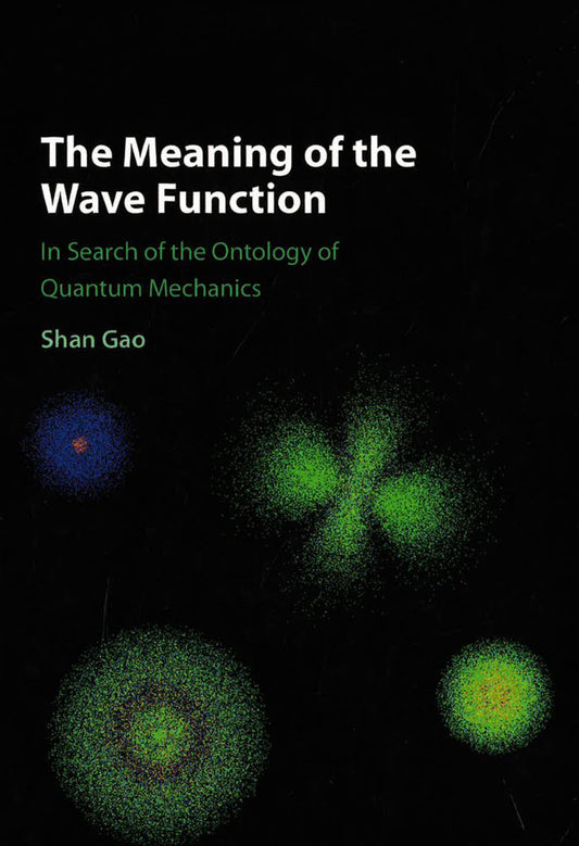 The Meaning Of The Wave Function: In Search Of The Ontology Of Quantum Mechanics
