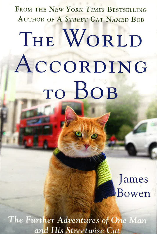 The World According To Bob