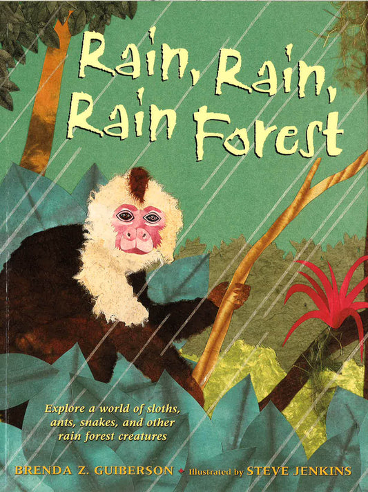 Rain Rain Rain Forest