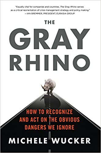 The Gray Rhino