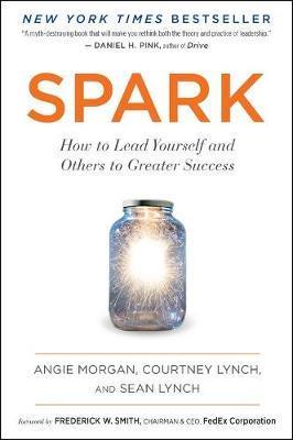 Spark: How To Lead Yourself And Others To Greater Success