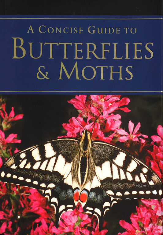 A Concise Guide To Butterflies & Moths