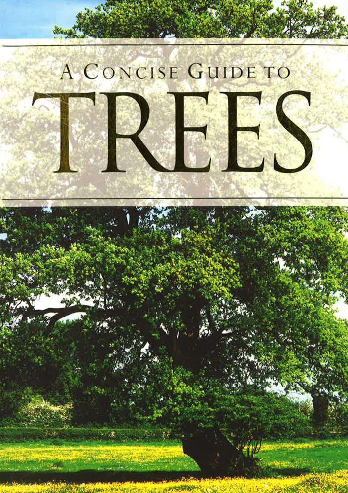 A Concise Guide To Trees – BookXcess