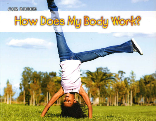 How Does My Body Work?