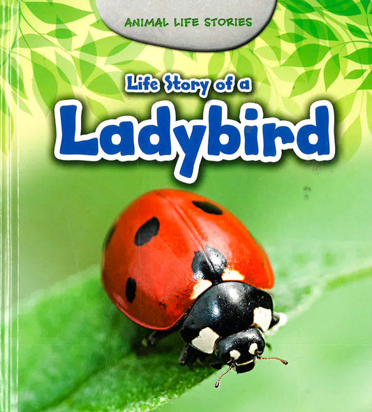 Life Story Of A Ladybird