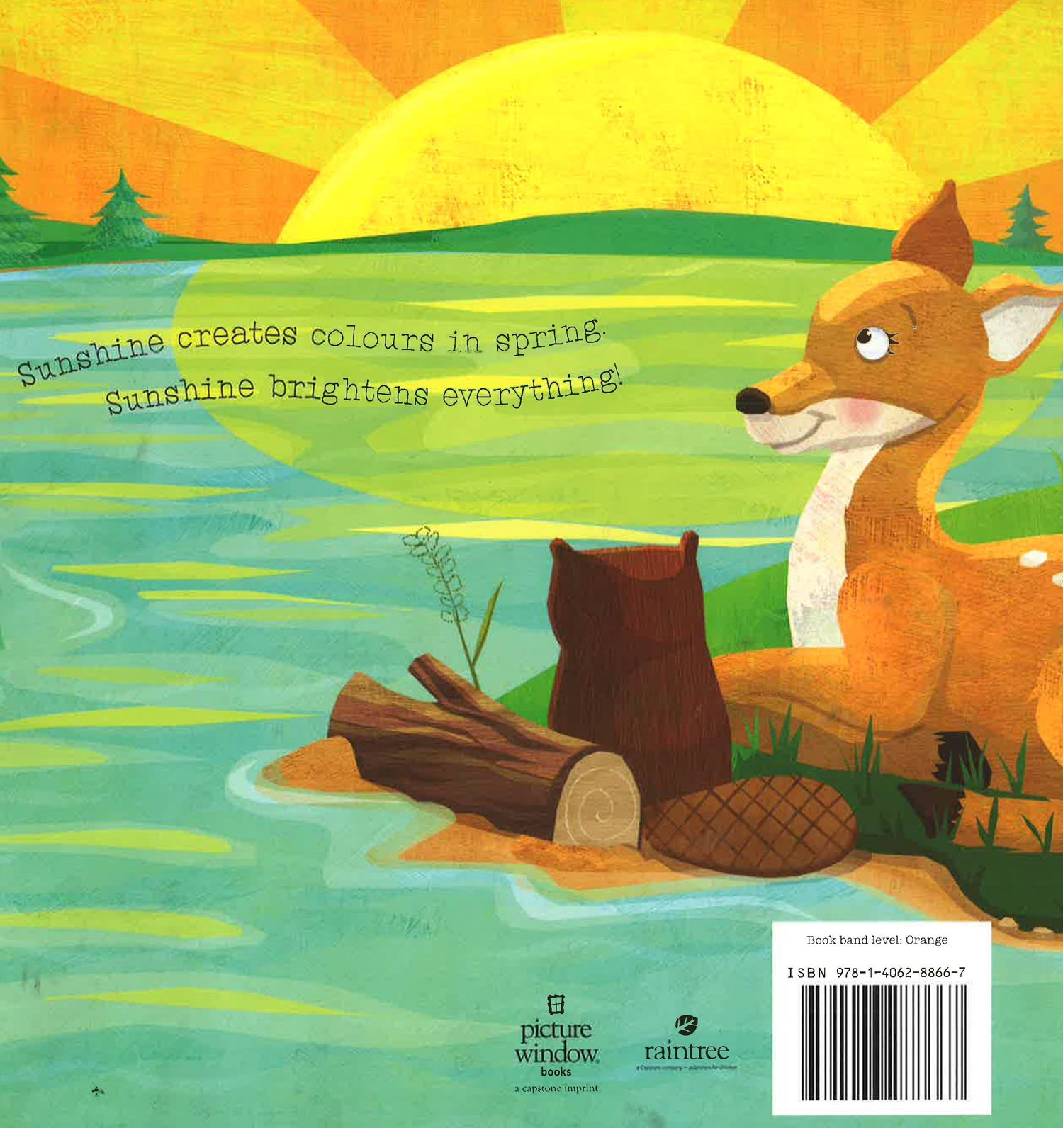 Sunshine Brightens Springtime – BookXcess
