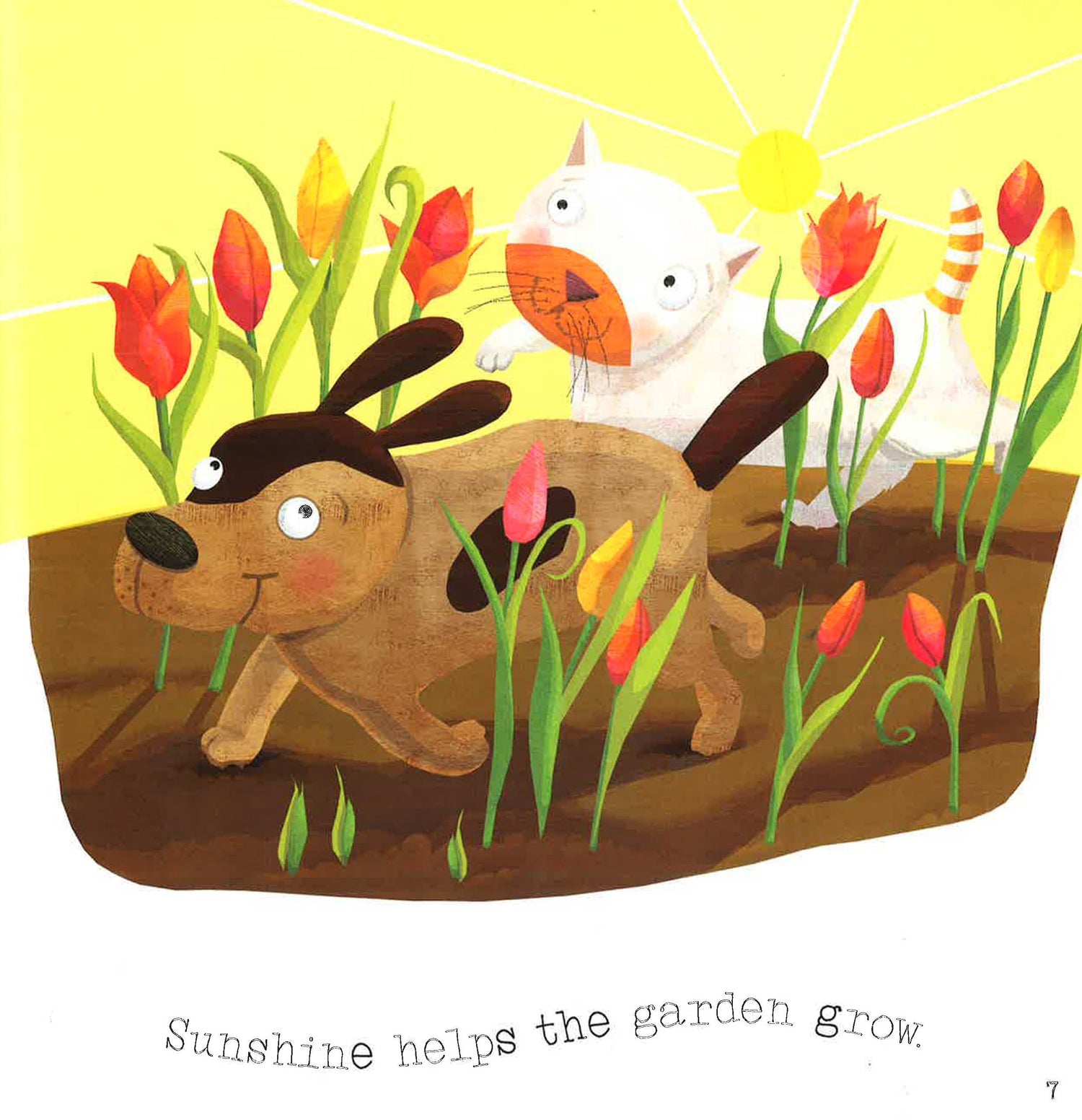 Sunshine Brightens Springtime – BookXcess