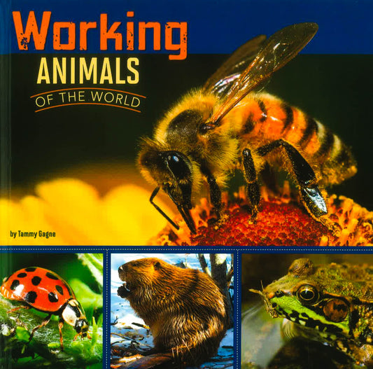 Working Animals Of The World