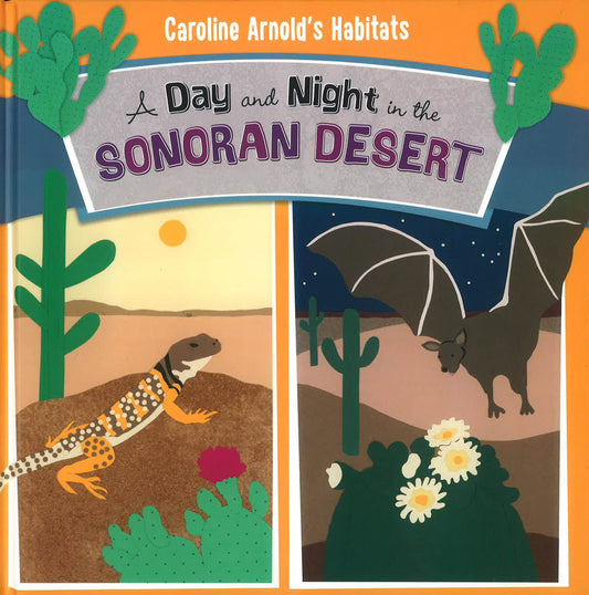 A Day And Night In The Sonoran Desert