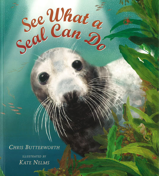 See What A Seal Can Do