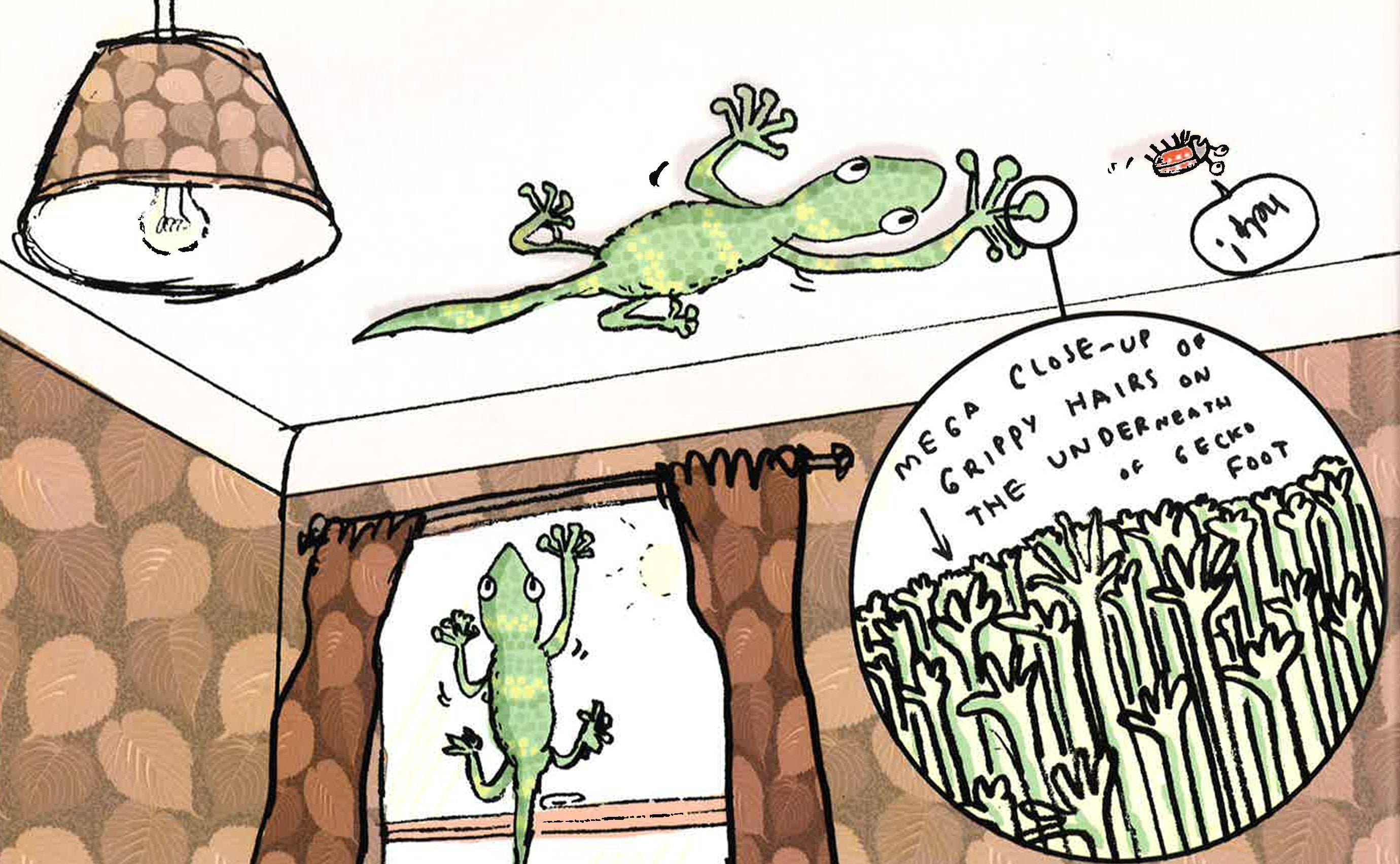 Translation missing: en.sections.featured_product.gallery_thumbnail_alt
