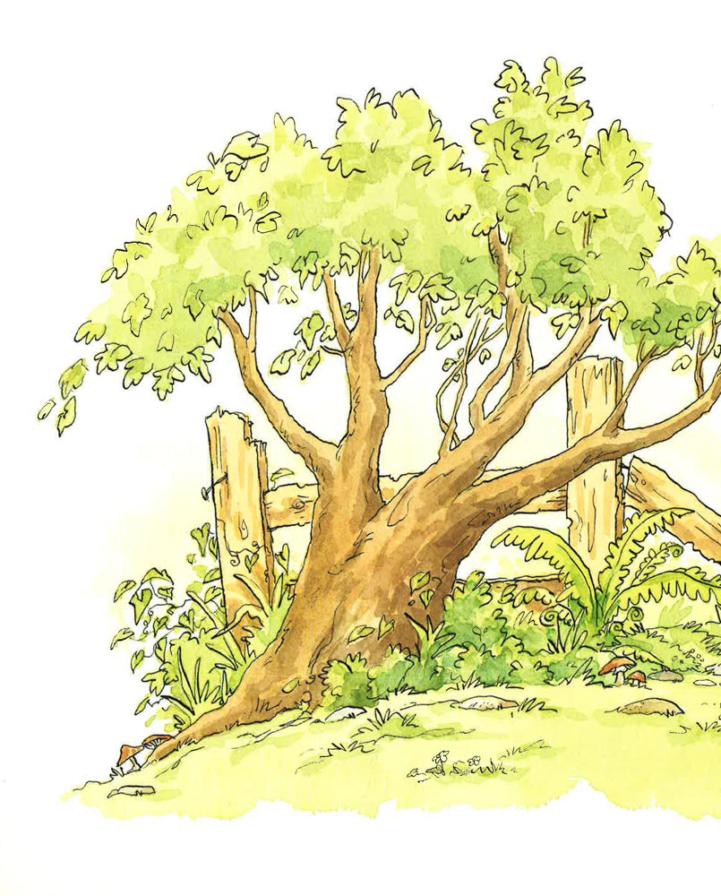 Translation missing: en.sections.featured_product.gallery_thumbnail_alt
