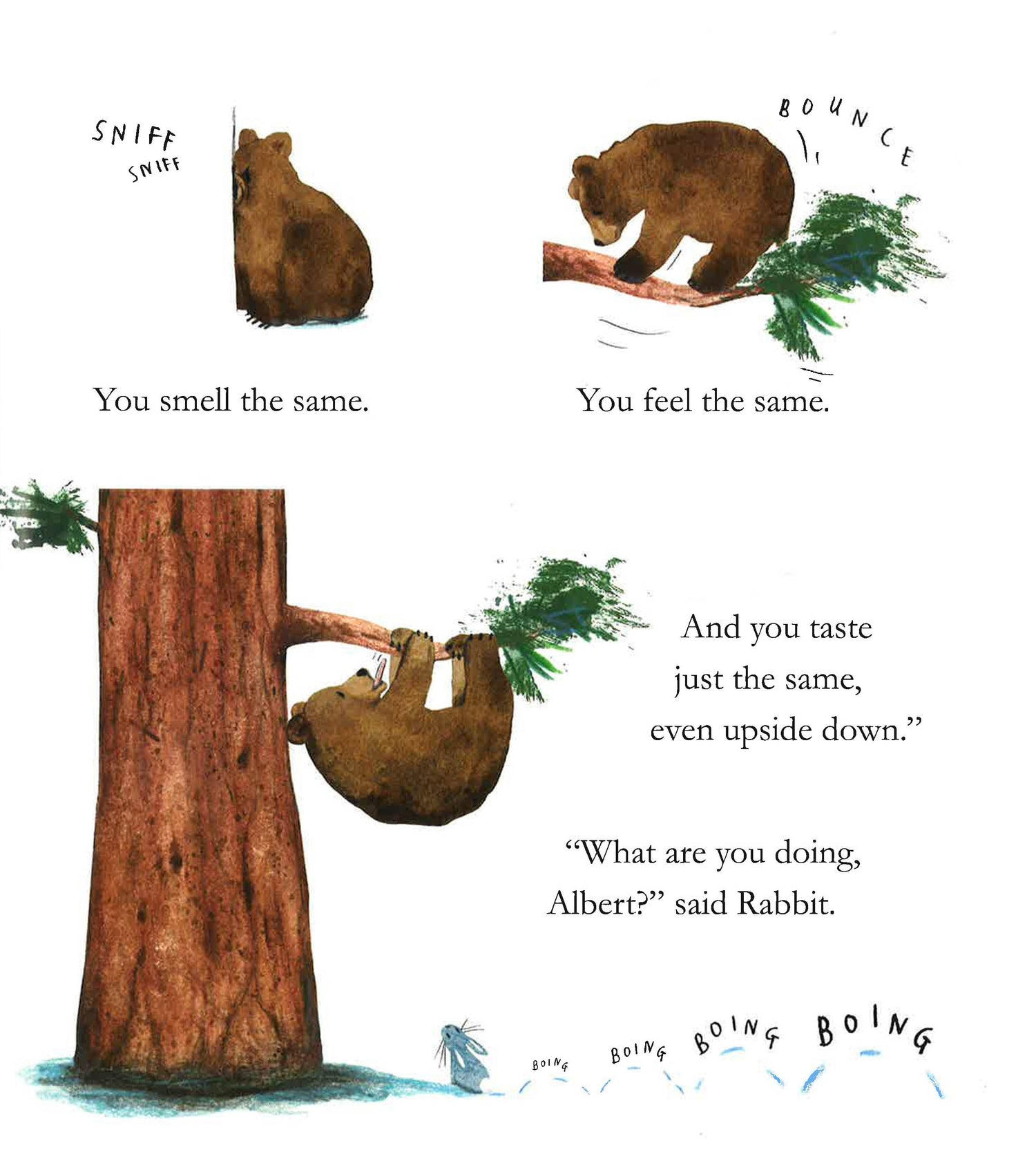 Colbert Tree Albert's Tree – BookXcess