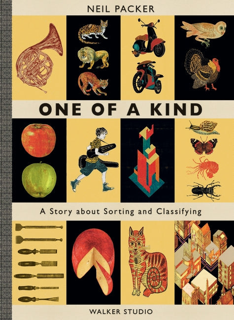 One Of A Kind- A Story About Sorting & Classifying