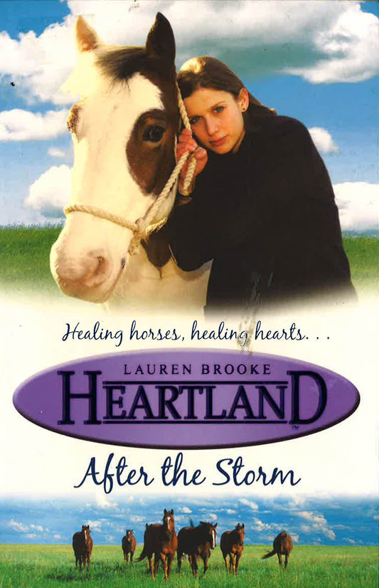 After The Storm Heartland