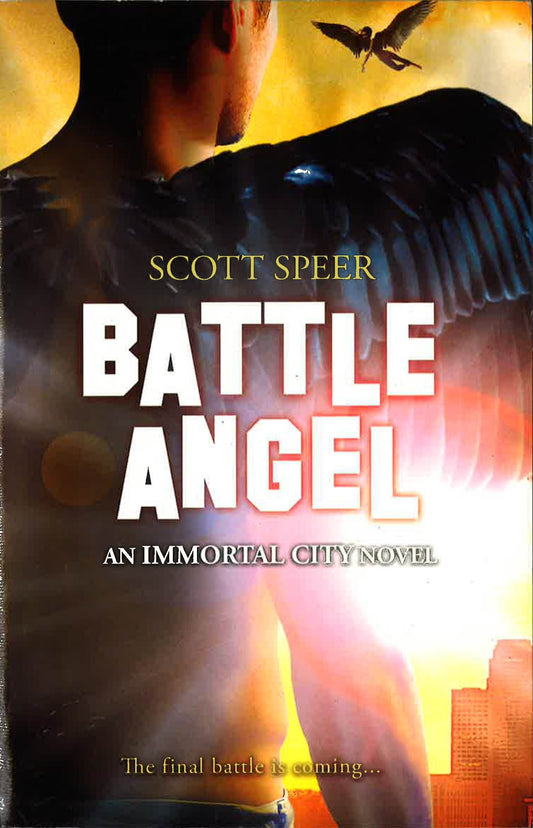 [Bargain corner] Battle Angel