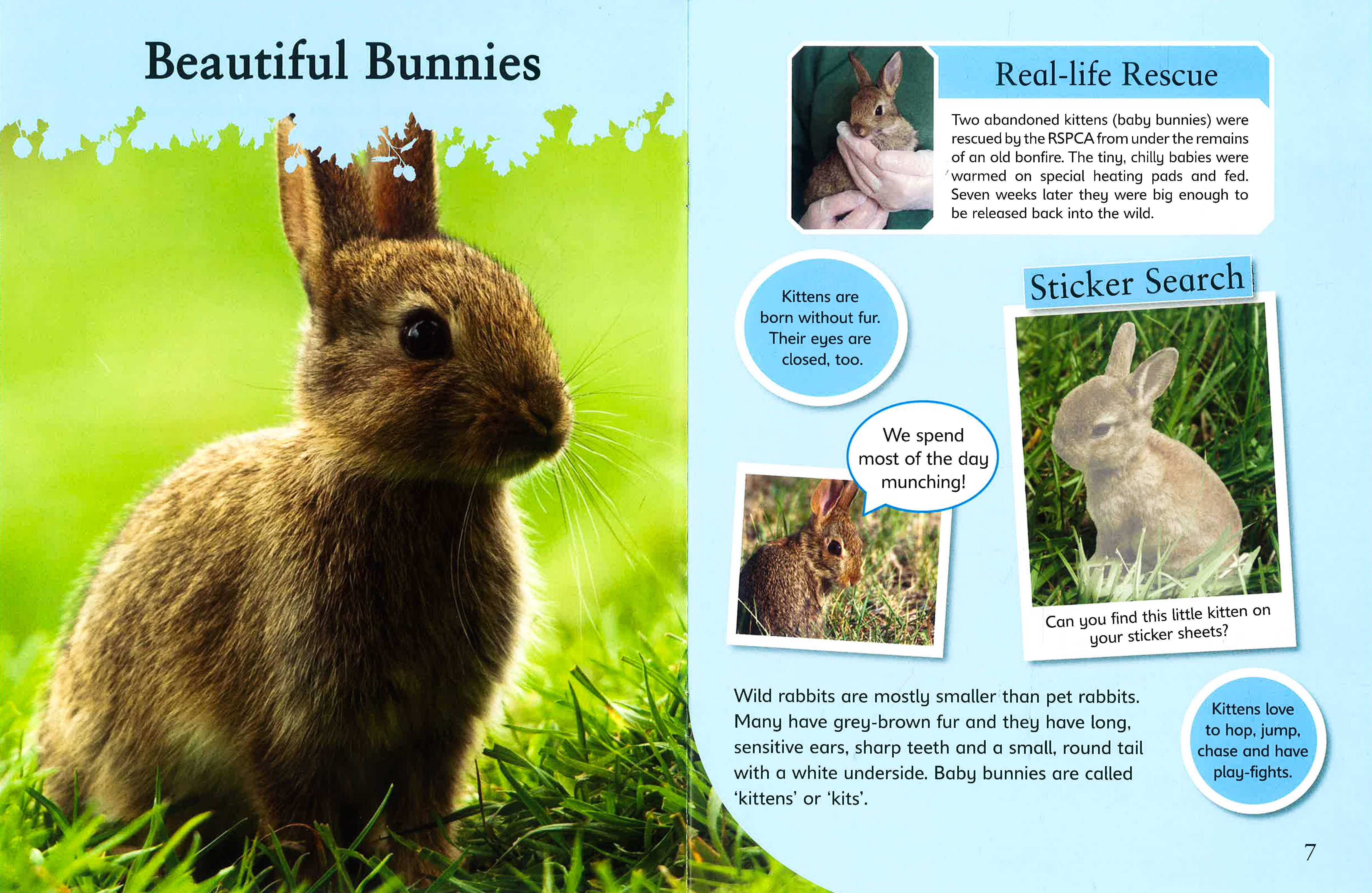 Wildlife Babies Sticker Book – BookXcess - Main Image