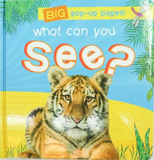 What Can You See?