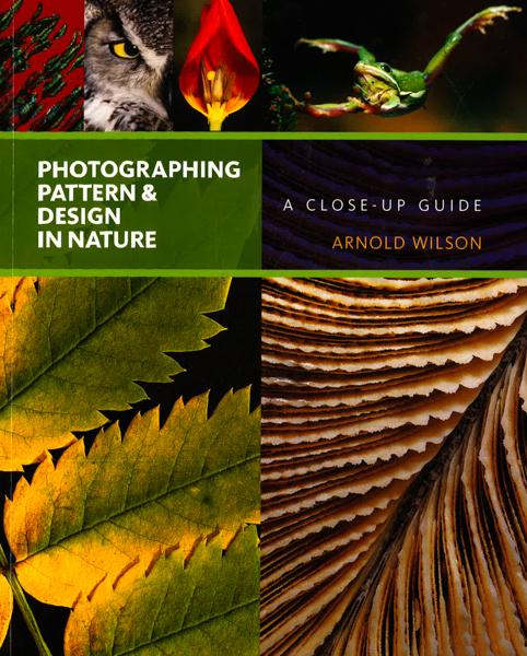 Photographing Pattern And Design In Nature