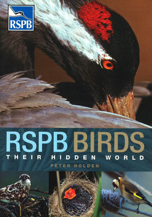 Rspb Birds: Their Hidden World