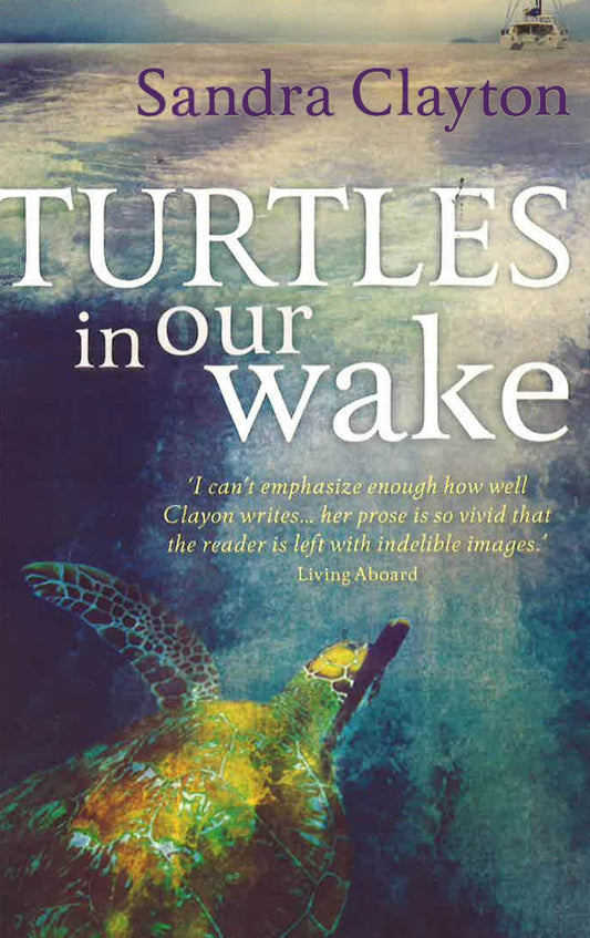 Turtles In Our Wake