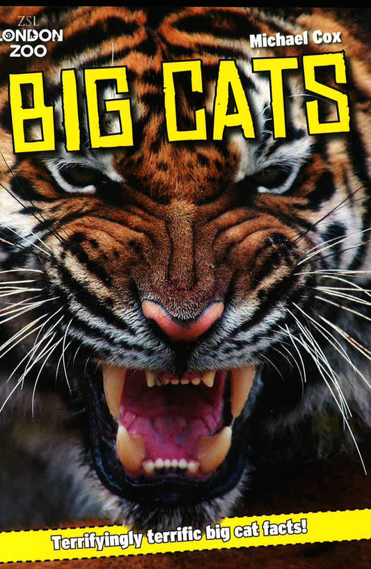 London Zoo: Big Cats